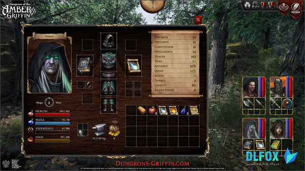 دانلود نسخه فشرده Dungeons of the Amber Griffin برای PC